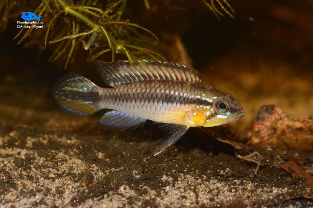 DSC_4537.jpg