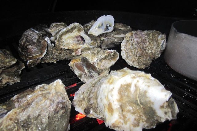 oysters1.jpg