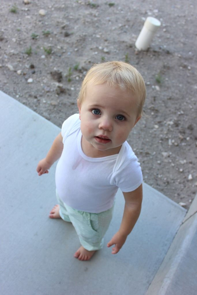  photo IMG_5060_zpsricapdev.jpg