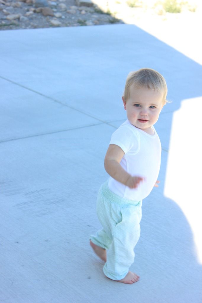  photo IMG_5078_zpssmlmavci.jpg