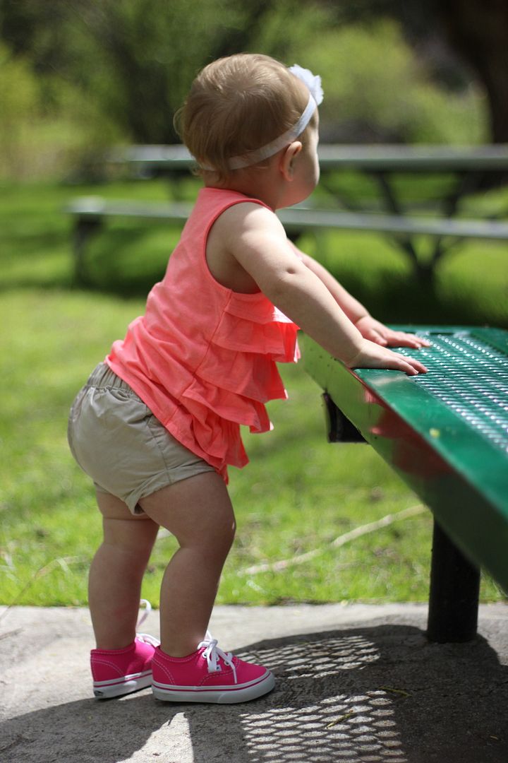  photo IMG_3597_zpspl8iowot.jpg