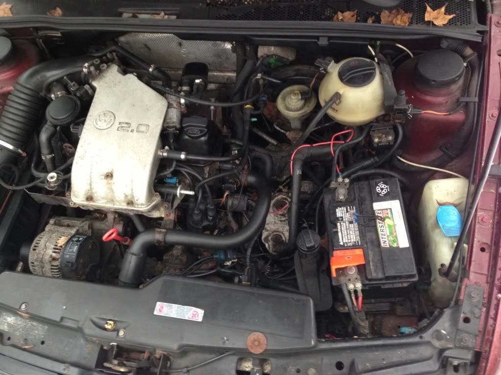 1994 VW Golf SUSSEX COUNTY NJ VW Vortex Volkswagen Forum