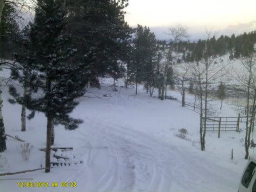 DSCF0234.jpg