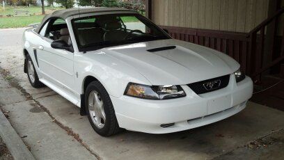 Mustang2001(1)
