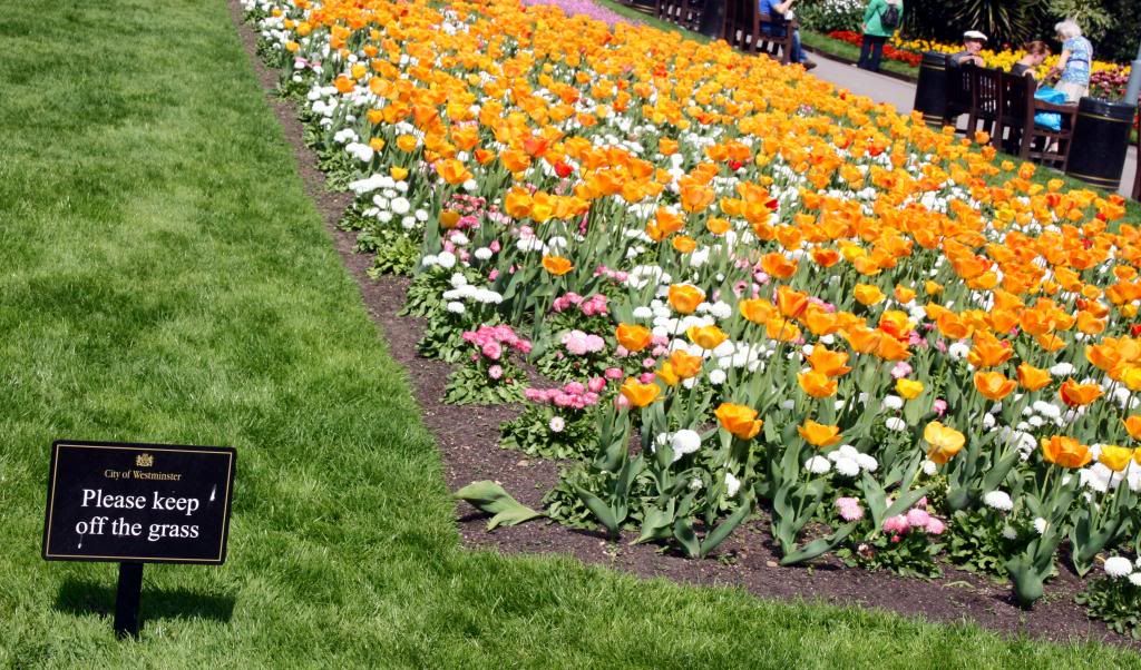 embankment park flowers