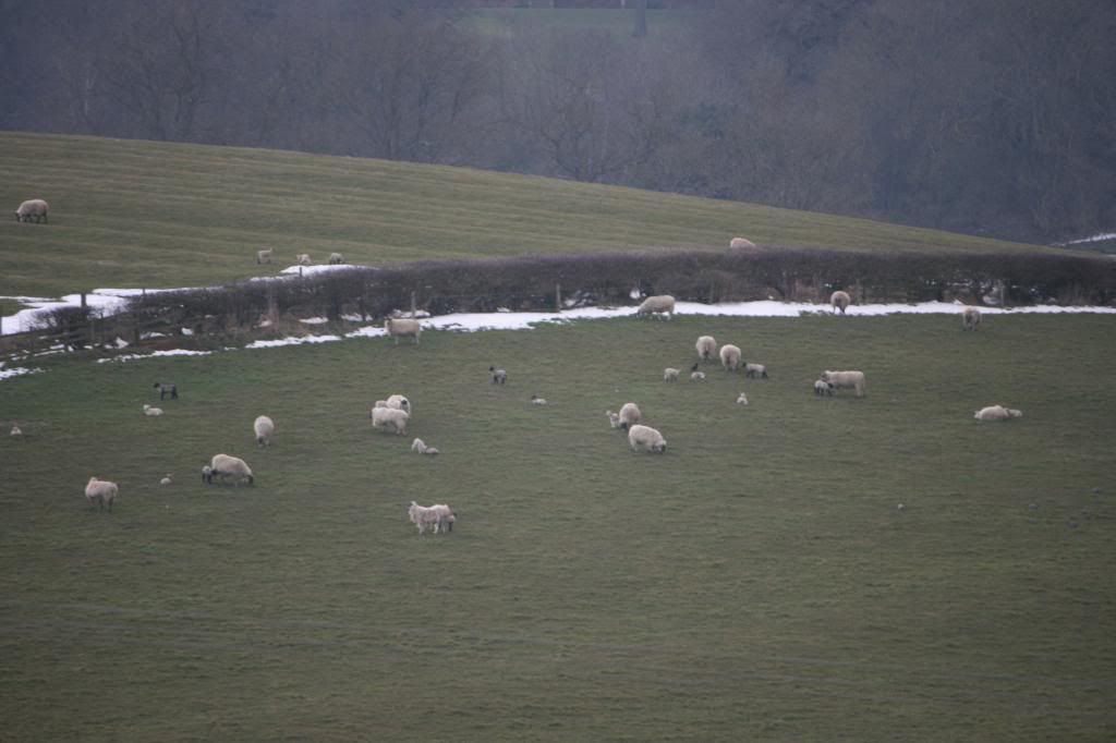 photo UKcountryside040_zpsc811cca1.jpg