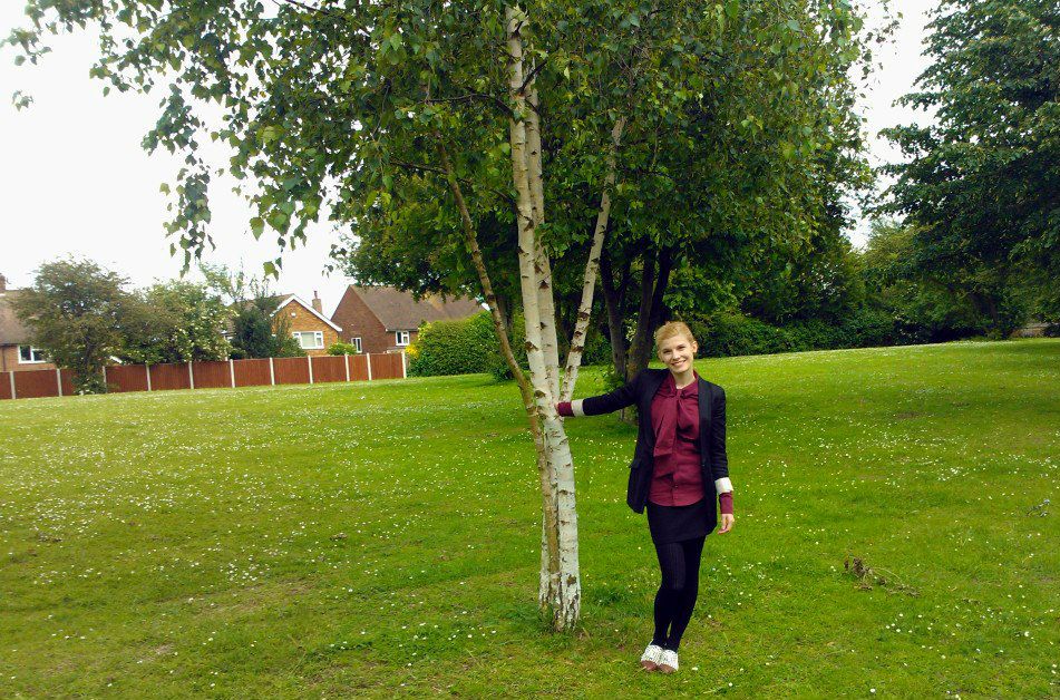 birch tree