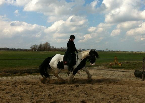 Afbeelding