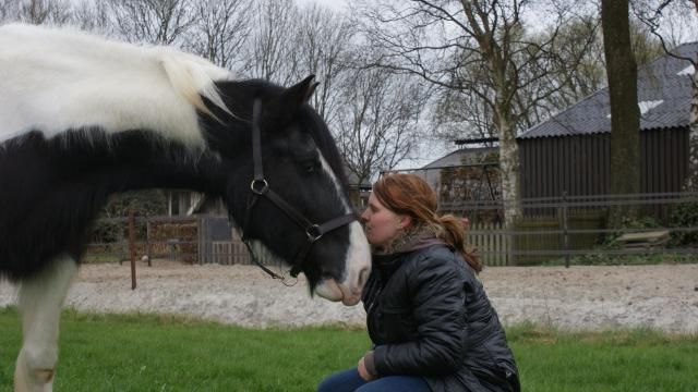 Afbeelding