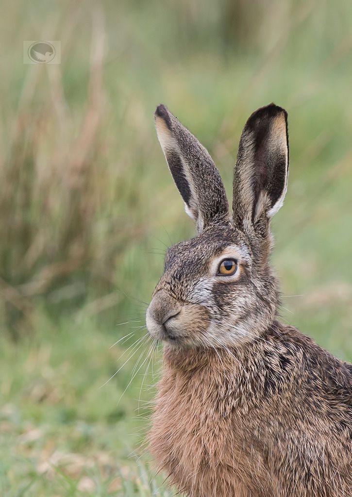 IMAGE: http://i1072.photobucket.com/albums/w372/janwever/IMG_7859_zpsutsjc0ga.jpg~original