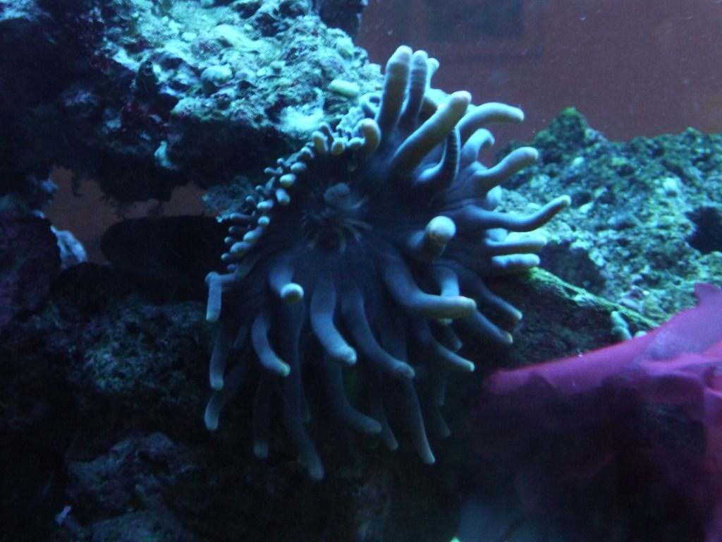 P1040131.jpg