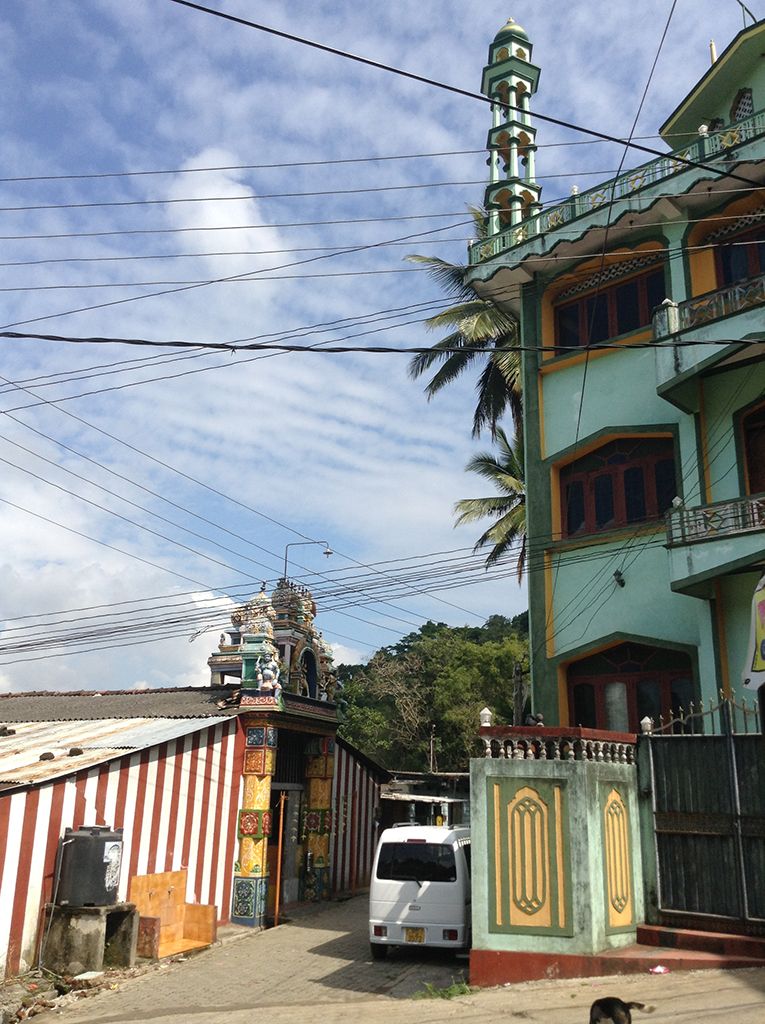 Первый опыт неопытных туристов или Шри-Ланка на четырех колесах. 24.02.2015 - 10.03.2015.