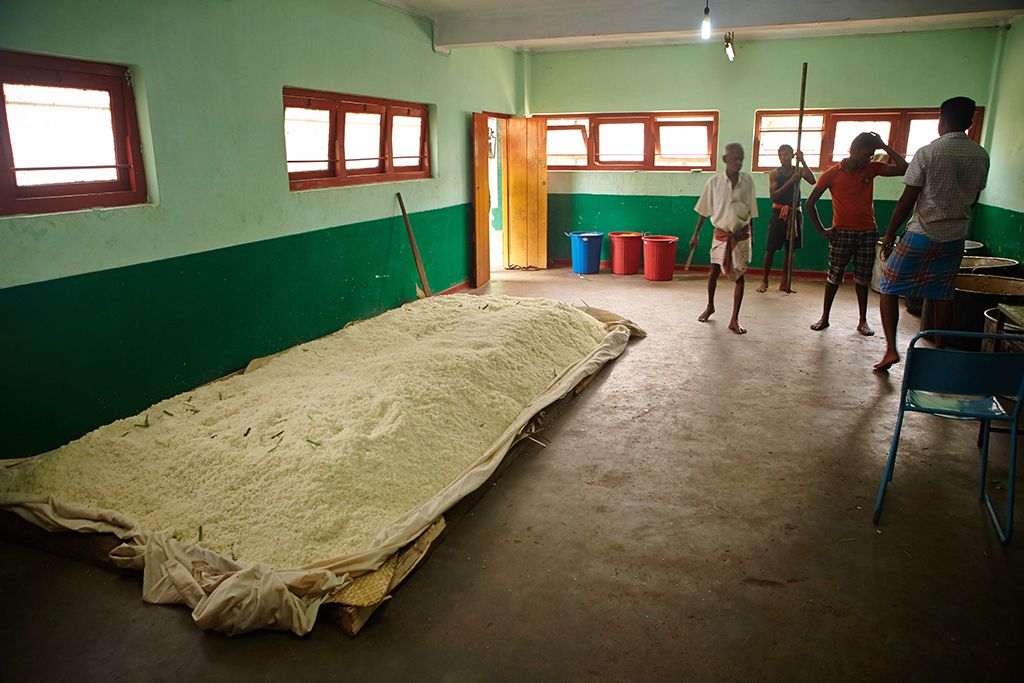 Первый опыт неопытных туристов или Шри-Ланка на четырех колесах. 24.02.2015 - 10.03.2015.