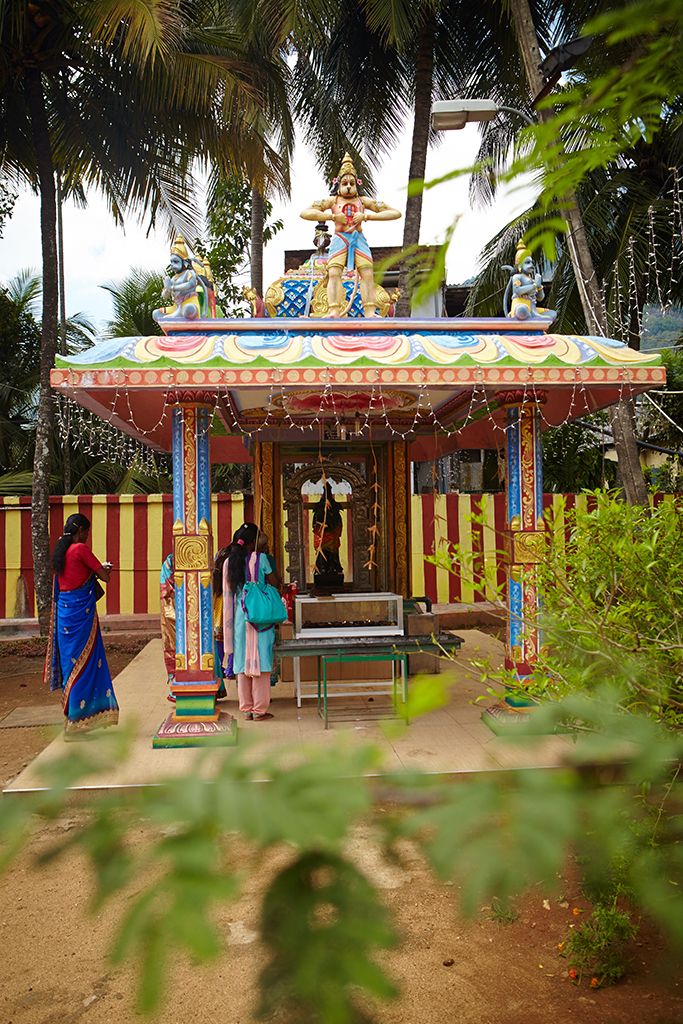 Первый опыт неопытных туристов или Шри-Ланка на четырех колесах. 24.02.2015 - 10.03.2015.