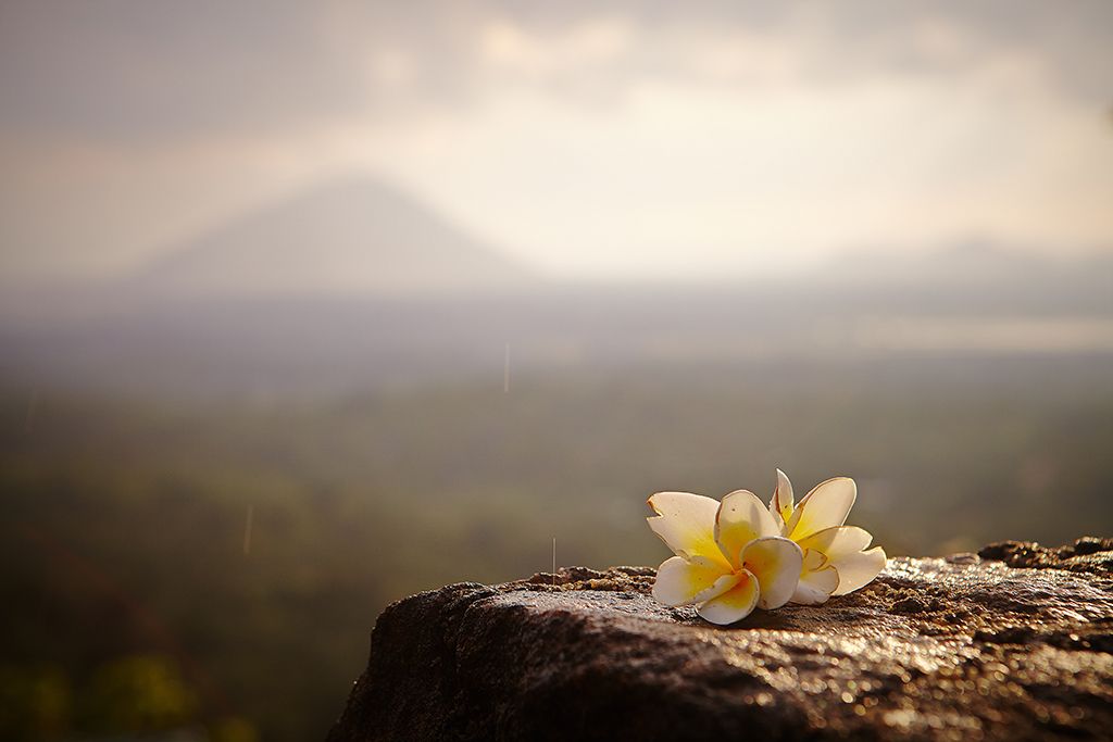 Первый опыт неопытных туристов или Шри-Ланка на четырех колесах. 24.02.2015 - 10.03.2015.