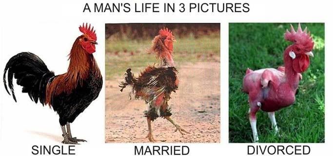 8d77e8d2.jpg