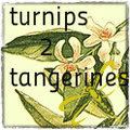 Turnips 2 Tangerines