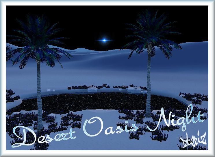  photo Desert Oasis Night.jpgblubig_zps6noh0cqo.jpg