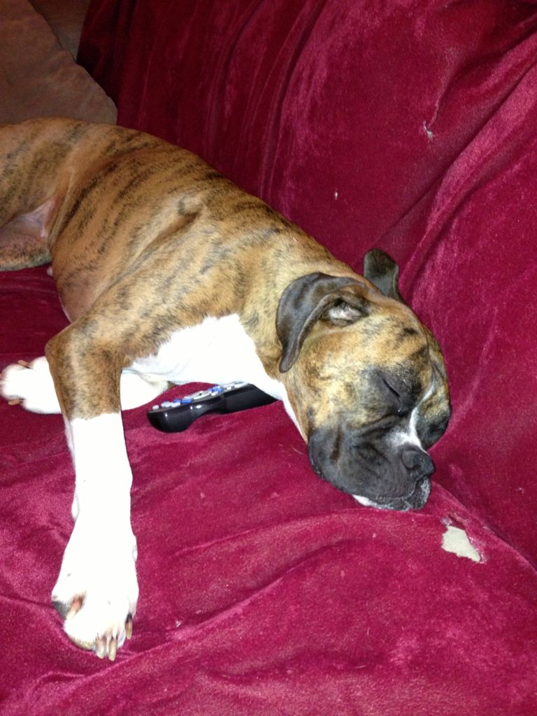 Uploaded from the Photobucket iPhone App