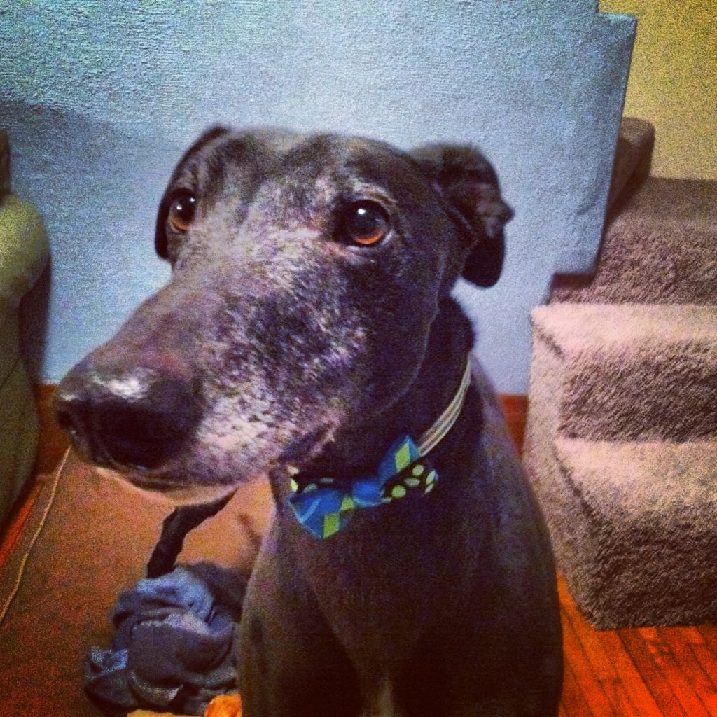 buster