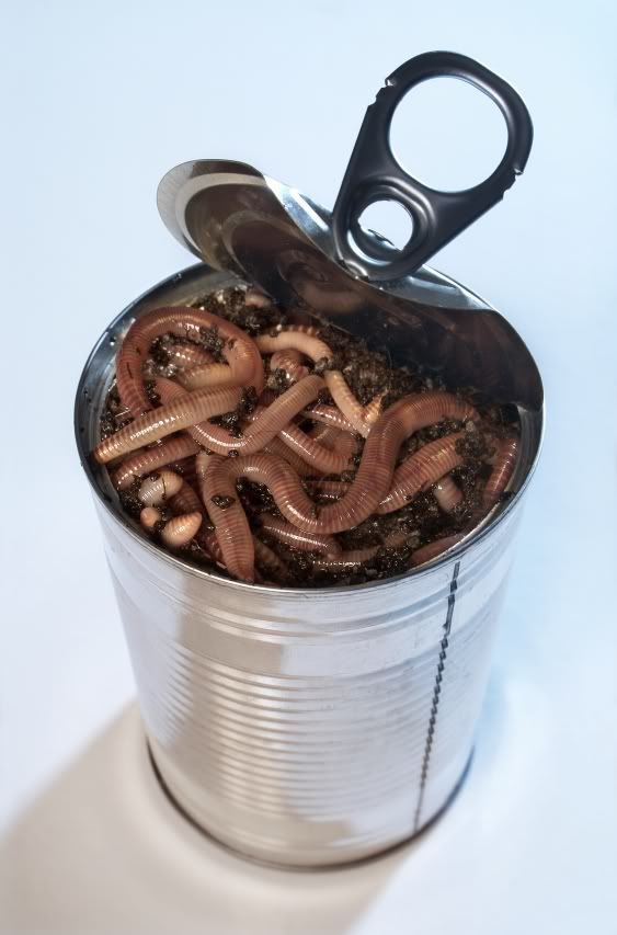 istock_can-of-worms_zpssk412byw.jpg