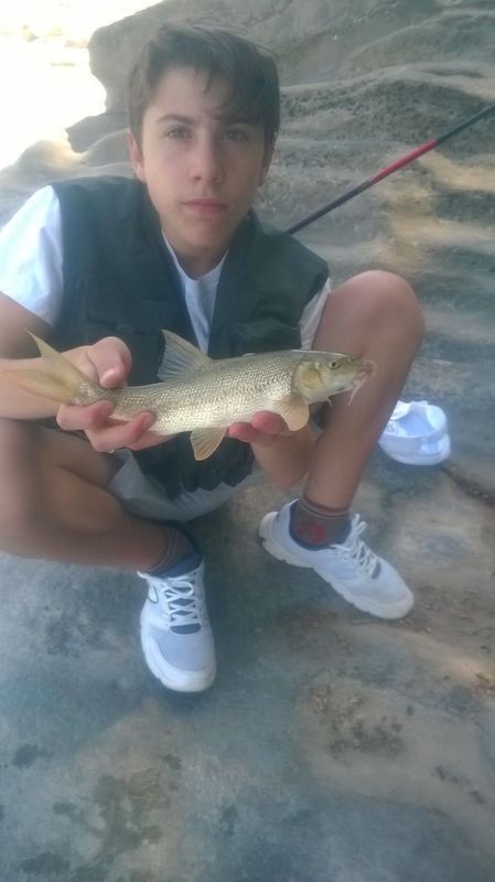 barbo1_zpsdu9bxnbx.jpg