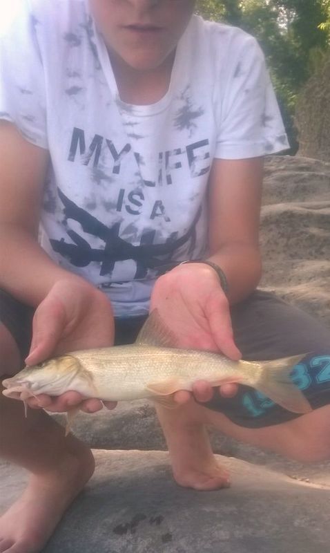 barbo3_zpsatlkm5gn.jpg