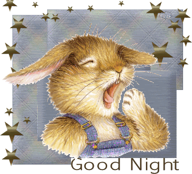 Good Night Cat Gif Animated Gifs | Photobucket