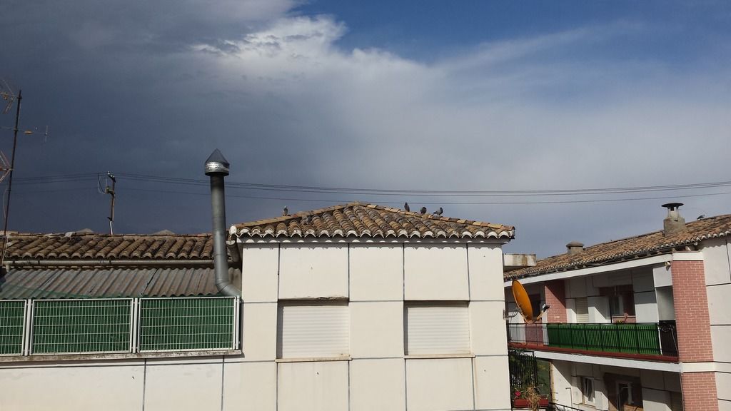 20150609_182628_zpsx1fa2idl.jpg