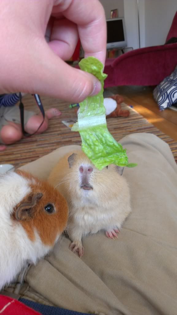 IMAG0264.jpg
