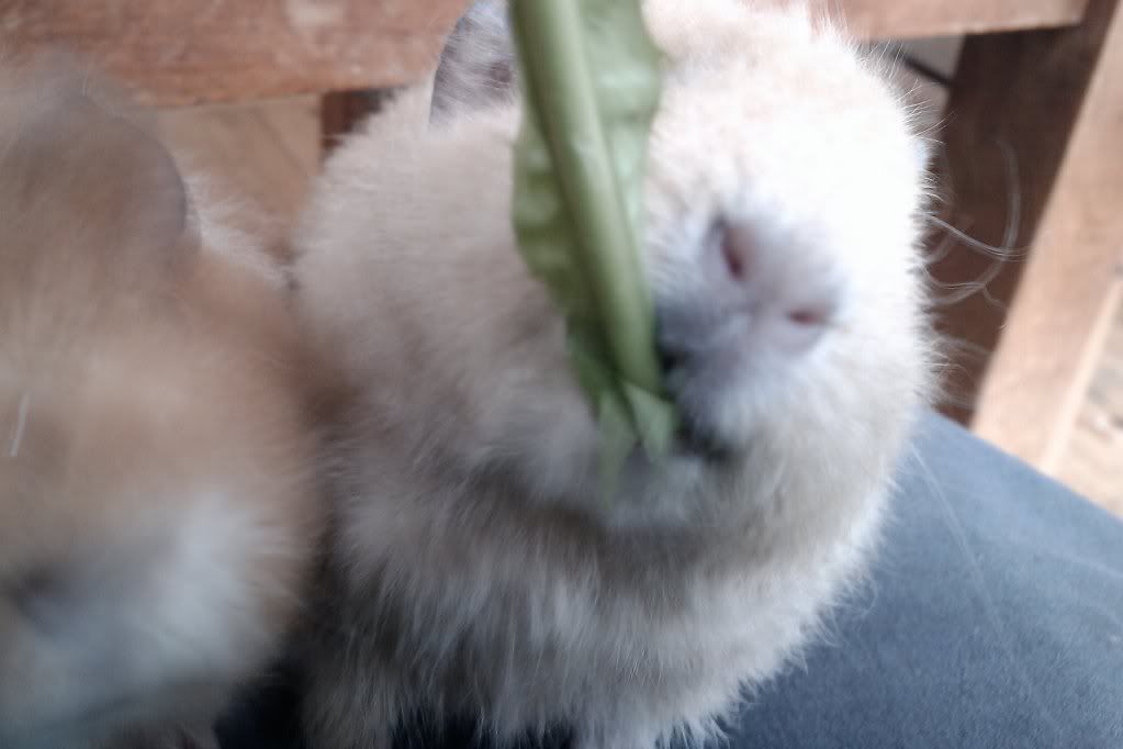 IMAG0770.jpg