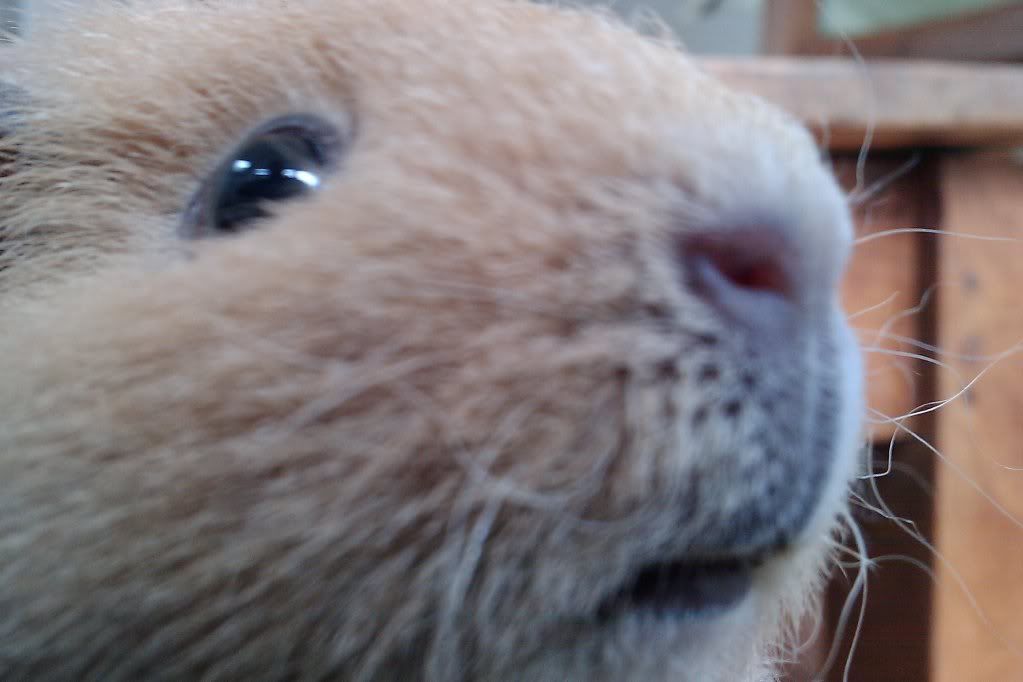 IMAG0779.jpg