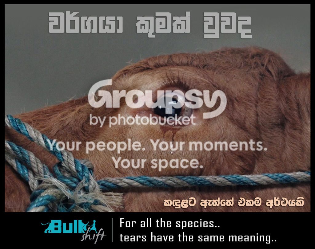 Design04.jpg